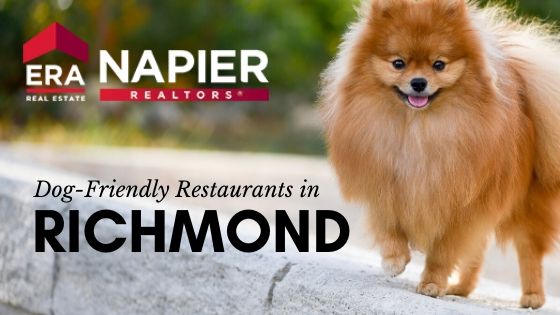 Dog Friendly Richmond