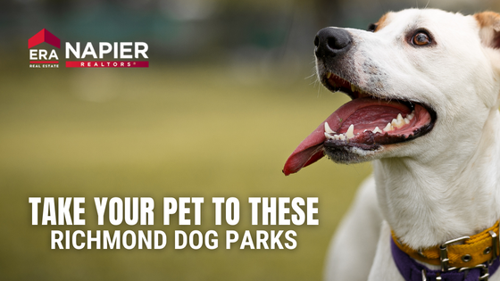 Dog Parks Richmond